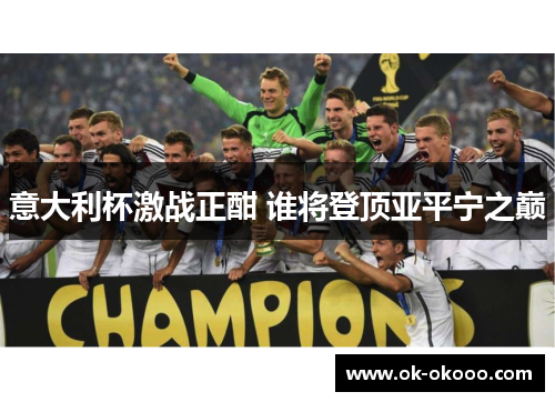 意大利杯激战正酣 谁将登顶亚平宁之巅