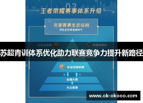 苏超青训体系优化助力联赛竞争力提升新路径